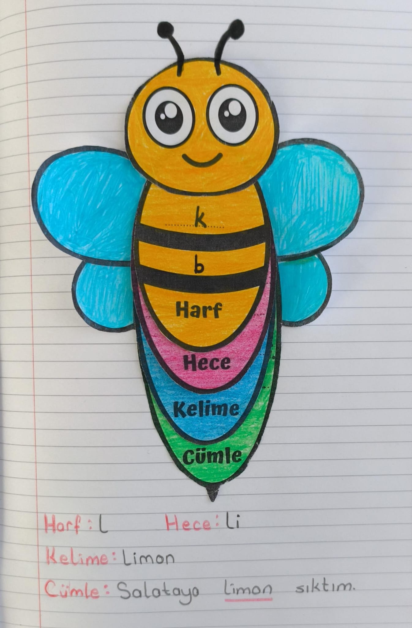 Harf Hece Kelime Cümle Defter Çalışması Arılı