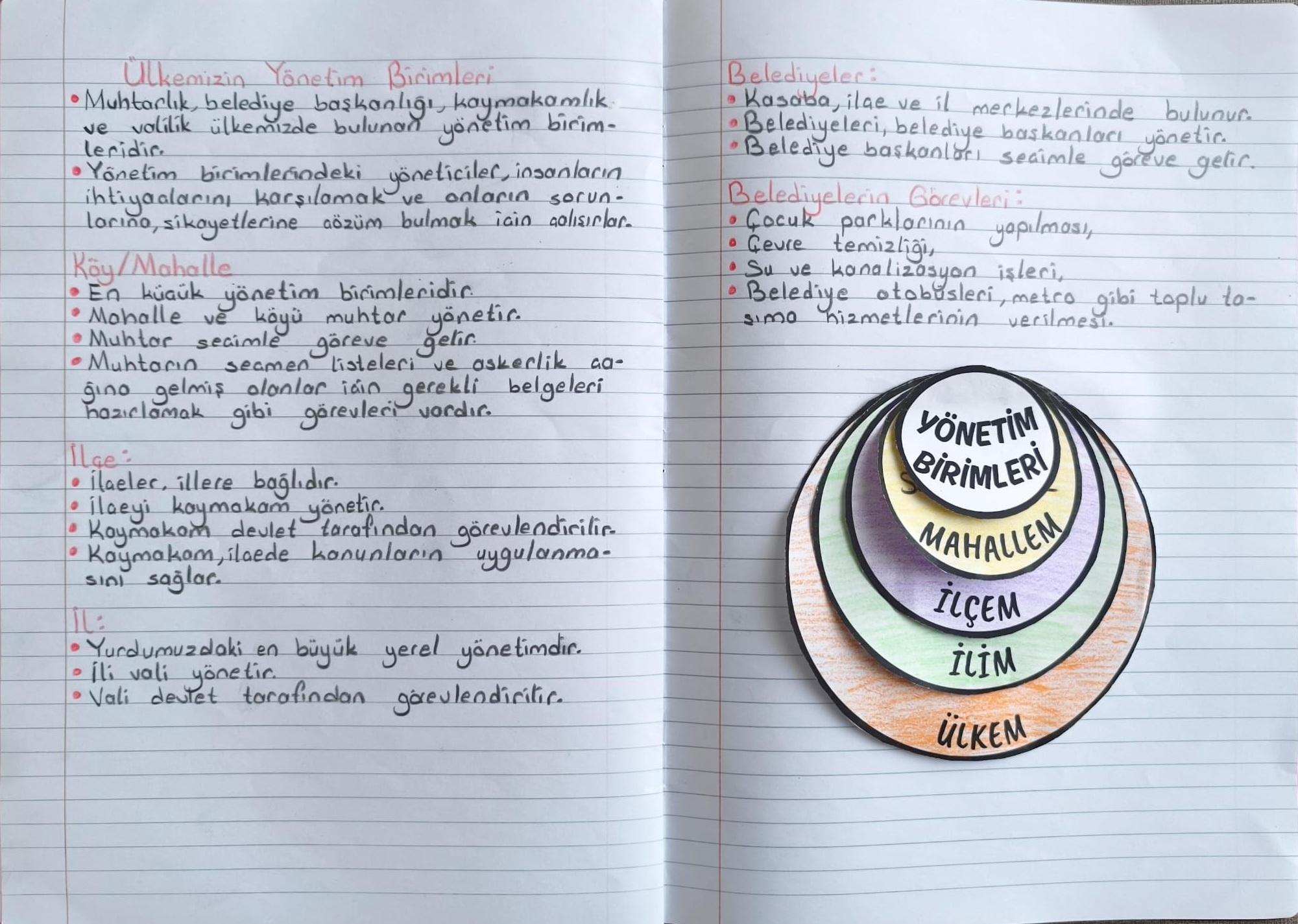 Yönetim Birimleri Konu Özeti