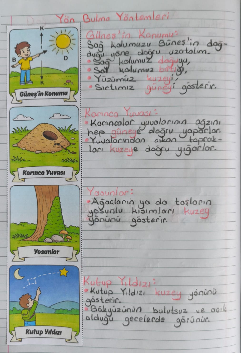 Doğada Yön Bulma Yöntemleri Defter Çalışması