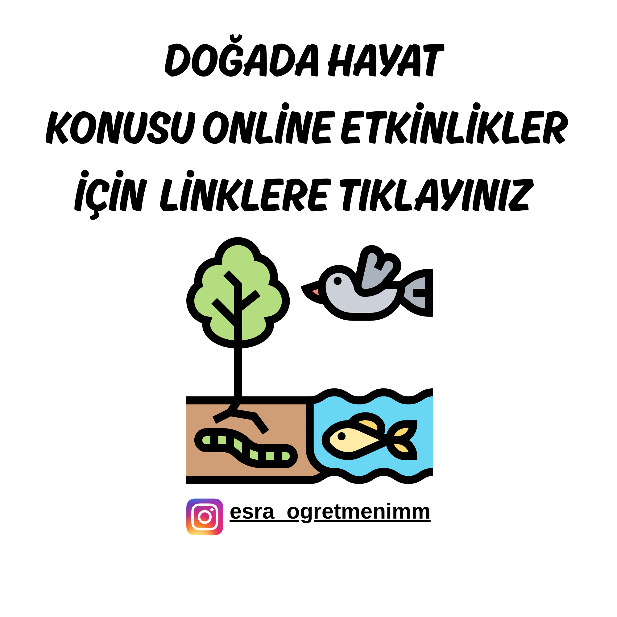 Doğada Hayat Konusu Online Etkinlikler İçin TIKLAYINIZ