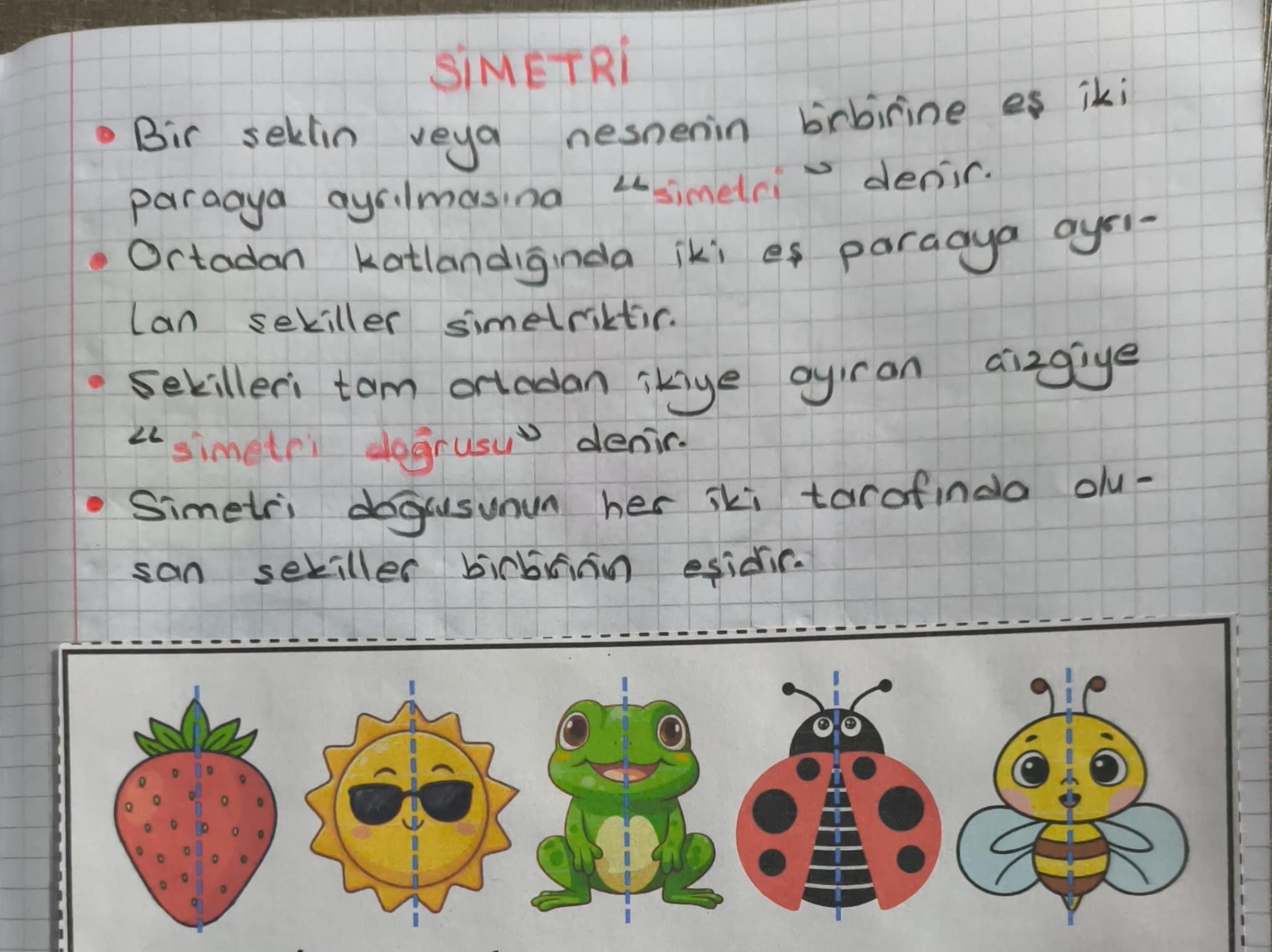 Simetri Konu Özeti