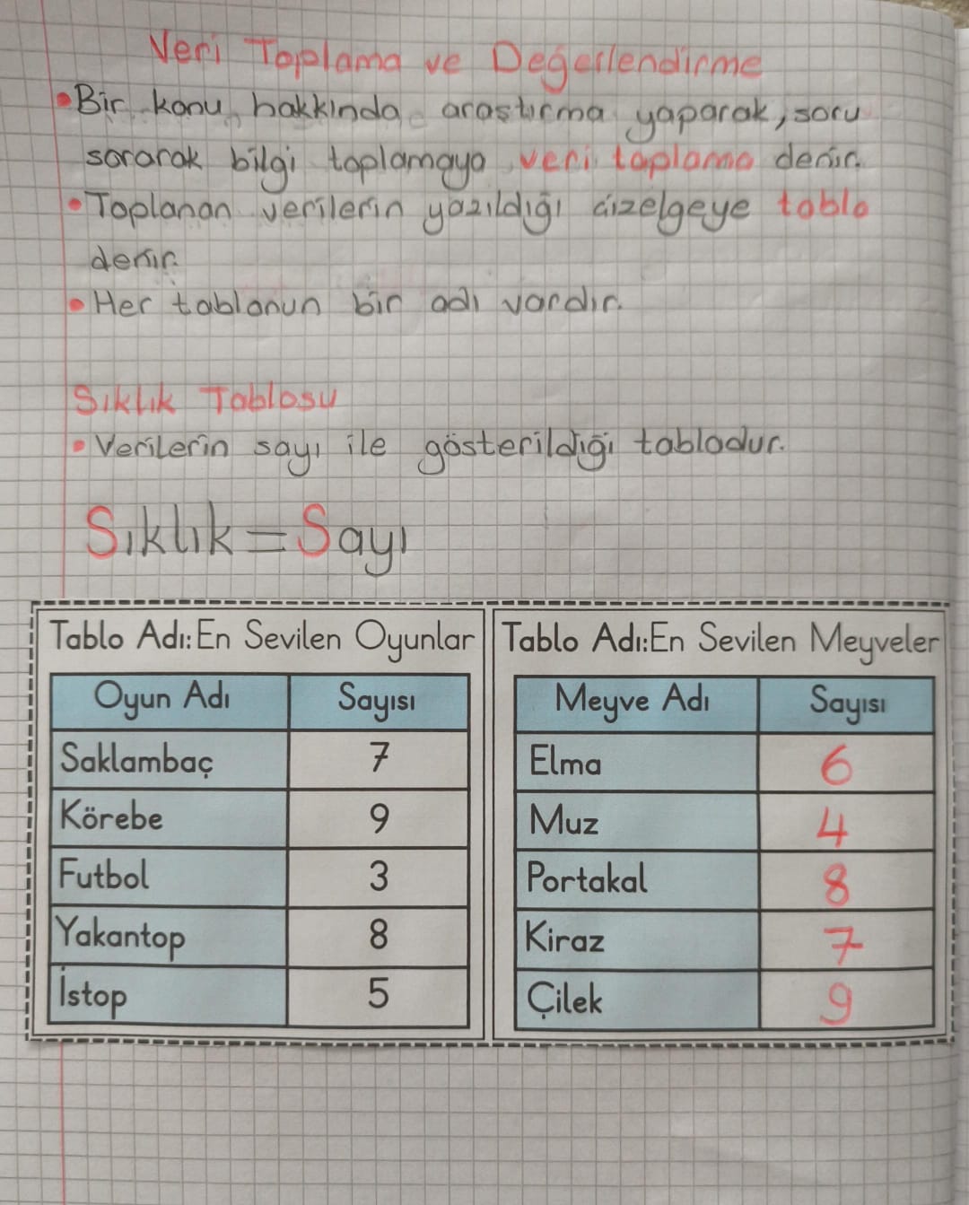 Sıklık Tablosu Defter Çalışması